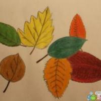 五彩缤纷的落叶关于秋天的画分享