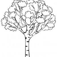 简单的大树简笔画