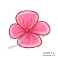 樱花花瓣简笔画教程