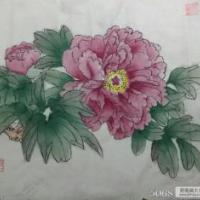 摇曳生姿的牡丹花国画牡丹