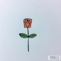 简单的玫瑰花简笔画画法