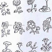 一组花朵的简笔画图片