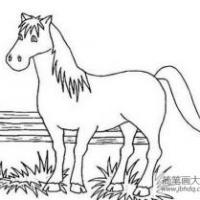 马的简笔素描图片 马的简笔图片