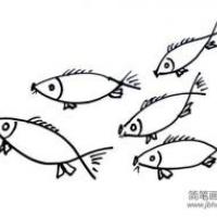 鲤鱼的简笔画画法