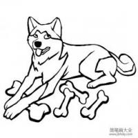 小狗图片大全 秋田犬简笔画图片