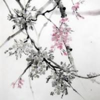 水墨樱花描写春天的国画作品展示