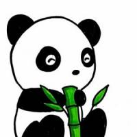 小熊猫简笔画