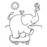 玩滑板的大象