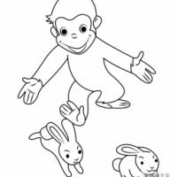 猴子追兔子简笔画图片