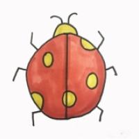 瓢虫简笔画,瓢虫儿童画画法