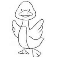 挥动翅膀的小鸭子简笔画步骤图解 - 小鸭子怎么画简笔画