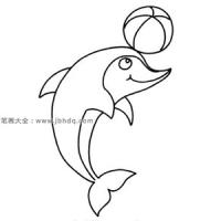 顶篮球的海豚