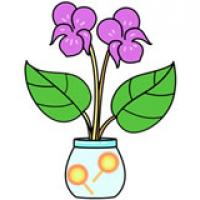 紫罗兰盆栽简笔画彩色画法步骤图片