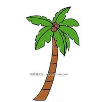 棕榈树简笔画图片