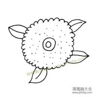 简单的植物简笔画 漂亮的花朵简笔画图片