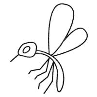 蚊子简笔画
