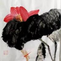 国画大写意荷花作品之红荷图