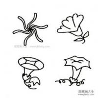 简笔画图片花朵