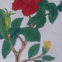 儿童植物绘画大全,中国画月季展示