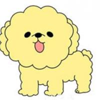 黄色泰迪犬简笔画画法步骤图解教程