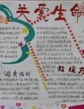 小学生防震减灾手抄报