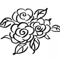 玫瑰花的多种画法