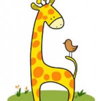 儿童学画长颈鹿和小鸟简笔画步骤教程 长颈鹿的简单画法