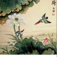 翠鸟芙蓉图儿童写意花鸟画