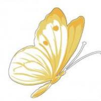 漂亮的黄蝴蝶