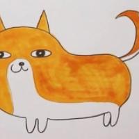 柴犬简笔画,秋田犬简笔画画法
