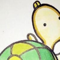 教你如何画小乌龟简笔画