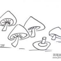 蘑菇的简笔画画法