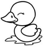 小鸭子游泳简笔画图片