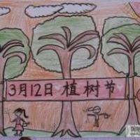 植树节获奖儿童画-保护树林人人有责