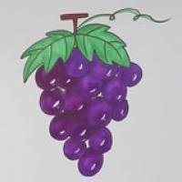 紫色葡萄简笔画画法步骤图片教程