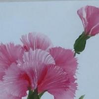 康乃馨水粉画图片 母亲节送给妈妈的画作品分享