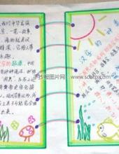 书写美丽汉字,传承中华文化