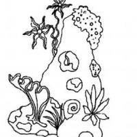 海底植物简笔画