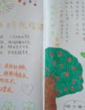 中秋月亮,圆又圆的手抄报