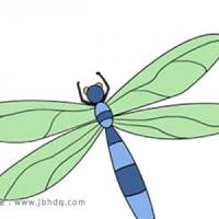 漂亮的蜻蜓简笔画图片