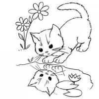 水边玩耍的小猫