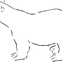 北极熊轮廓的画法