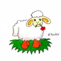 小绵羊儿童简笔画,简单的小羊简笔画图片