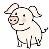 猪的简笔画 可爱猪简笔画画法步骤图片大全