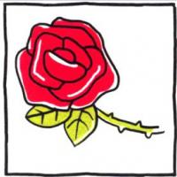 四步画出可爱简笔画 玫瑰玫瑰我爱你