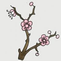 树枝上的梅花简笔画画法步骤图片