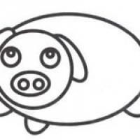 小猪怎么画 小猪简笔画步骤图教程
