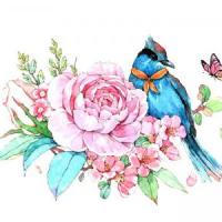 且听风吟,静待花开