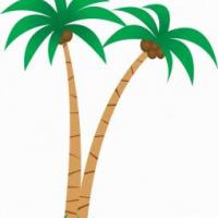 2021年幼儿简笔画椰子树画法