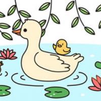 游来游去的鸭子简笔画彩色画法图片